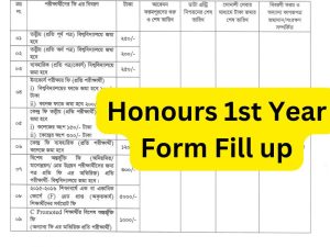 Honours 1st Year Form Fill Up – Apply Online  